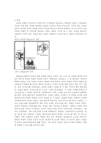 [철학적인간학] 사회 속에서의 인간에 대한 분석과 그속에서의 인간의 행동에 대해-6