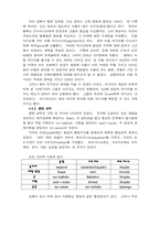 인도와 무굴제국-9