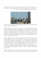 [역사학] 한류열풍을 타고 강한 한국으로-10