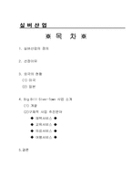 [실버산업] 실버산업에 대한 투자방안-2