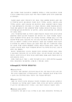 [미디어] 1인미디어의 탄생,그리고 순기능과 역기능-4