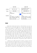 [국제경영] 로레알 한국진출 현지화전략-9