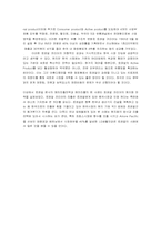 [국제경영] 로레알 한국진출 현지화전략-10