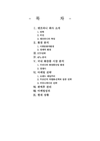 [마케팅] 20대연령의 여성을 타켓으로 한 `엔프라니`의 마케팅성공사례-2