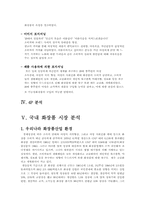 [마케팅] 20대연령의 여성을 타켓으로 한 `엔프라니`의 마케팅성공사례-9