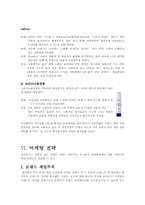 [마케팅] 20대연령의 여성을 타켓으로 한 `엔프라니`의 마케팅성공사례-12