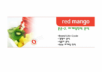 [마케팅] 레드망고 `RED MANGO`의 마케팅분석-19