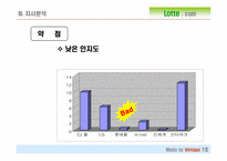 [마케팅] 롯데닷컴 마케팅전략-12