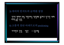 [마케팅전략] GS건설 `Xi 자이`의 마케팅전략분석-8
