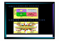 [마케팅전략] GS건설 `Xi 자이`의 마케팅전략분석-13