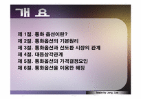 [국제금융론] 통합옵션시장-2