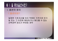 [국제금융론] 통합옵션시장-3
