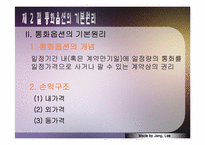 [국제금융론] 통합옵션시장-8
