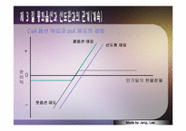 [국제금융론] 통합옵션시장-12