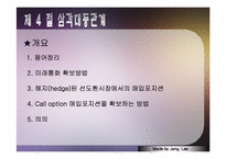 [국제금융론] 통합옵션시장-18
