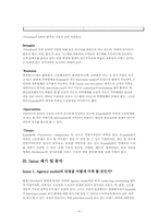 프라이스라인 Priceline.com 사례분석-4