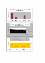 [국제경영] `팬택앤큐리텔` 중국진출전략 분석-10