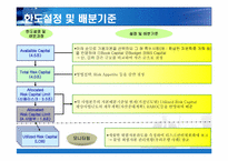 [금융기업경영론] 우리은행 리스크관리-11
