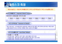 [금융기업경영론] 우리은행 리스크관리-17