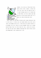 [국제경영] IKEA 글로벌경영전략-5