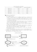 SK그룹의 국제금융거래-2