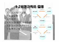 [사회학] 비정규직노동자와 관련 법안에 대해-4