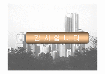 강남부동산상승의 원인과 대책-16