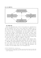 [국제경영] 인도현대자동차의 이미지 및 소비자호감도 강화방안-15
