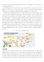 [해외진출사례] 이마트의 중국진출 성공요인분석-10