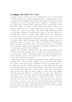 [국제경영] 글로벌 씨티은행의 한국진출사례 조사-11
