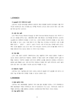 [국제마케팅사례] LG휘센 중국마케팅전략-13