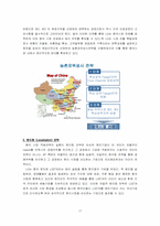 [국제마케팅사례] LG휘센 중국마케팅전략-16