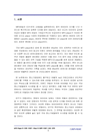[브랜드관리] MP3Player의 파워브랜드 iRiver(아이리버)의 향후 브랜드관리 전략-3