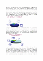 [매스컴] 한류열풍 속 TV드라마, 그 영향 및 효과 분석 -겨울연가와 대장금을 중심-9