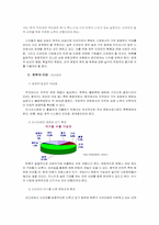 [매스컴] 한류열풍 속 TV드라마, 그 영향 및 효과 분석 -겨울연가와 대장금을 중심-12
