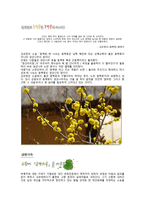 문인답사 보고서- 김유정-11