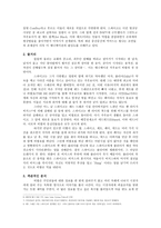 [영화개론] 카우보이 비밥(Cowboy Bebop) 분석-4