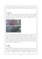 [영화개론] 러브레터(Love Letter) - 인물, 소재, 편집 분석-9