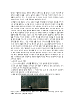 괴물의 느와르적 경향- 영화 괴물의 장르 연구-5