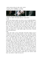 괴물의 느와르적 경향- 영화 괴물의 장르 연구-6