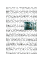 영화 블랙 black 을 감상하고-2