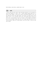 퀴즈 쇼 - 공리주의와 의무론에서 바라본 진실의 가치-4