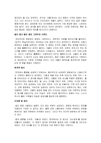 한국 괴수 영화에 길이 남을 영화 - 괴물-6