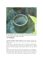 문인생가 답사 보고서 - 수연산방, 이태준-3