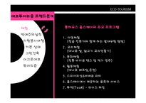 자연을 접하고 보고 즐기는 ECO TOURISM-10