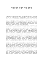 감상문 피타고라스 정리의 비밀 감상문 피타고라스 정리의 비밀 감상평-1