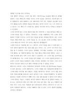 영화 서평 피아노-3