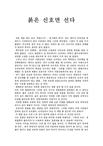 서평 붉은 신호면 선다-1