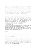 영화 비평 - 로드무비 - 파리 텍사스-2