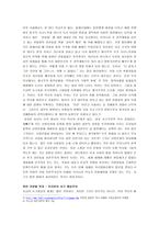 독후감 하얀 가면의 제국을 읽고-4
